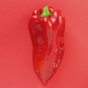 赤い背景に赤いピーマンパプリカ。直立した野菜1個。