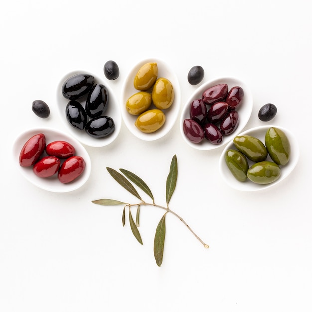 Red black yellow purple olives on plates with leaves