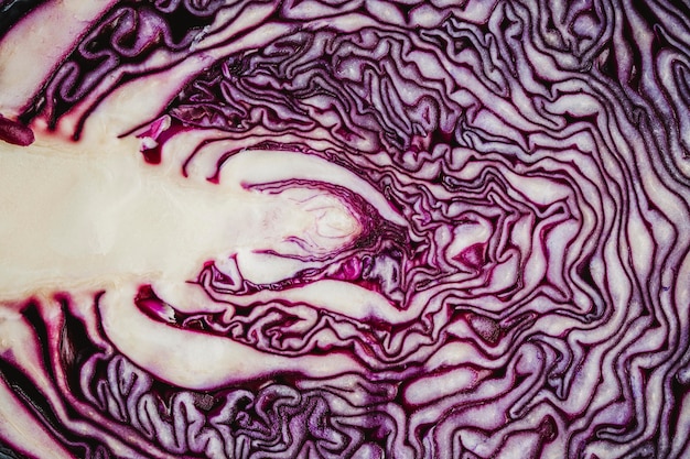 Free photo red cabbage close-up background