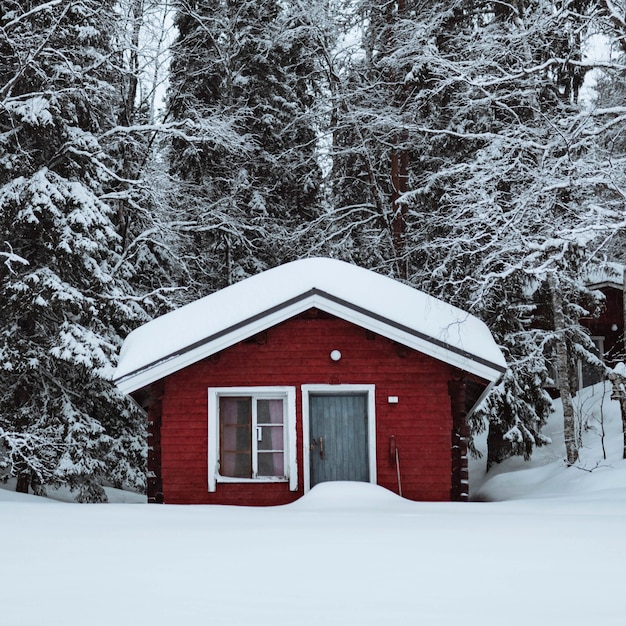 Красный домик в заснеженном лесу