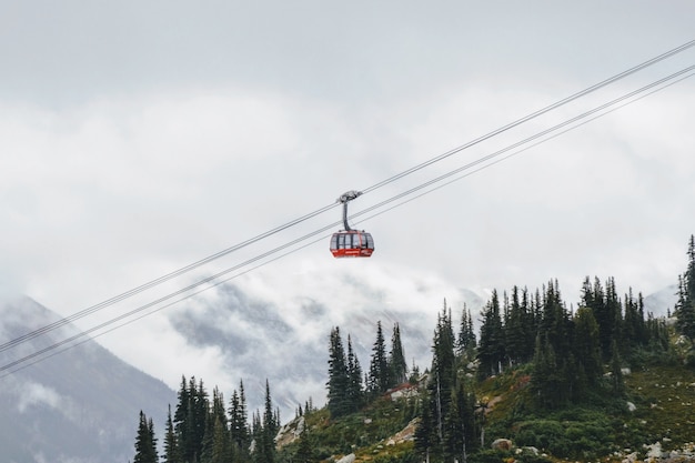 red cable car going up the mountain with pine trees