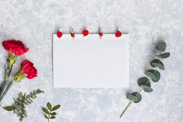 Free photo red carnation flowers with paper on table