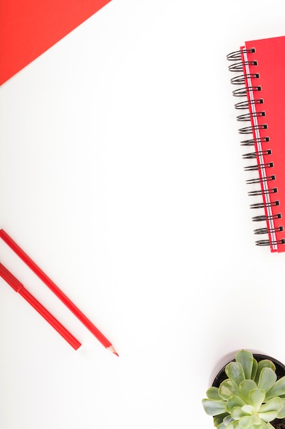 Red colored stationeries and potted plant on white background