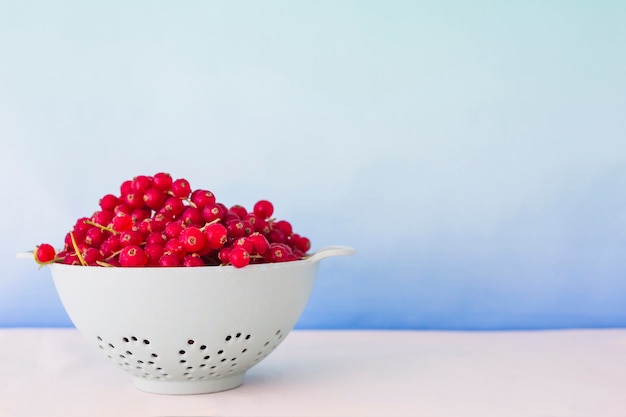 Red currants in colander against blue background