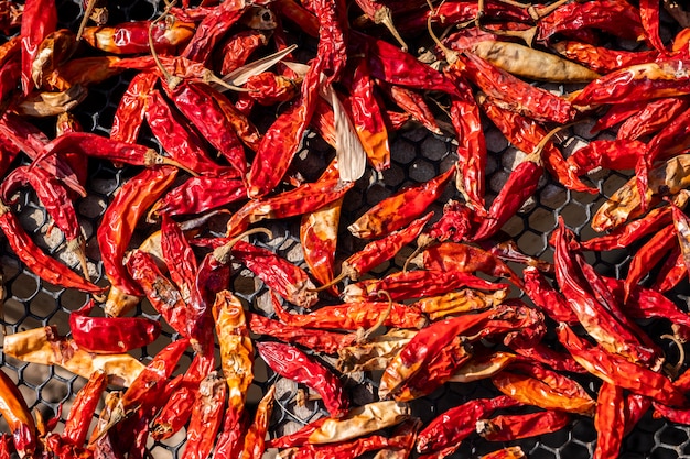 red dry chilli