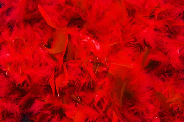 Red festive background