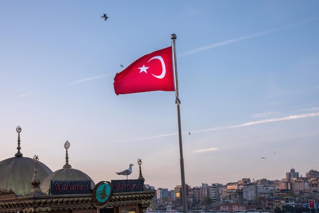 Red flag of Turkey in the foreground of flying seagulls and local architectural buildings
