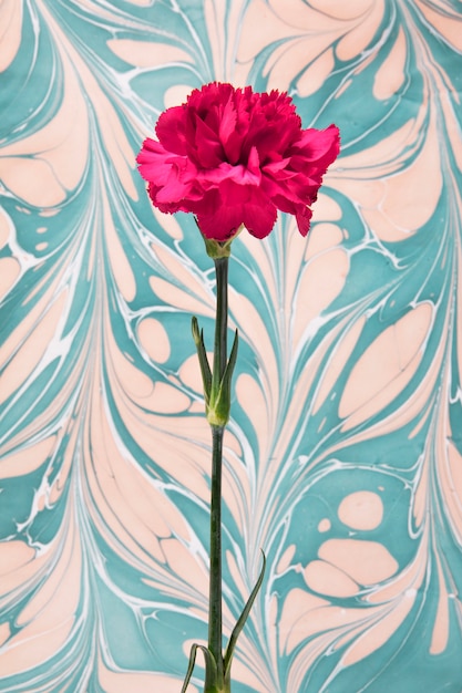 Free photo red flower with psychedelic painting
