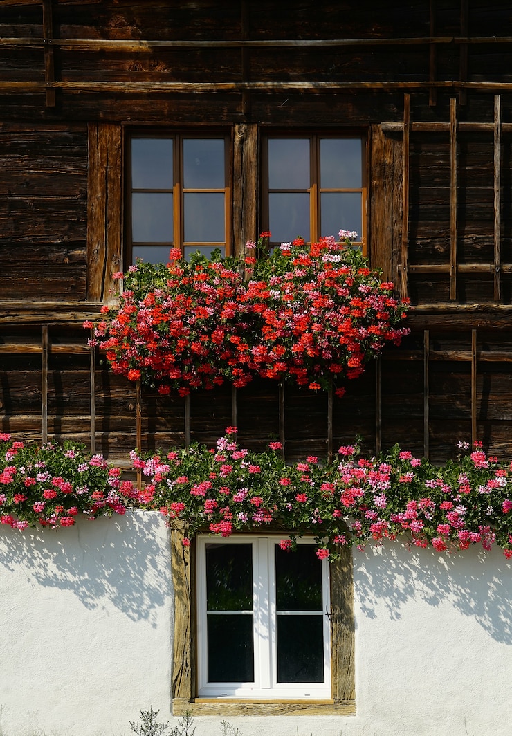 Free Photo red flowers in bloom