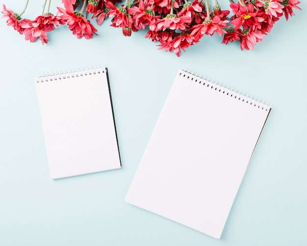 Red flowers border and spiral notepads on blue background