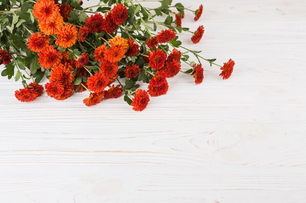 흰색 테이블에 흩어져있는 붉은 꽃