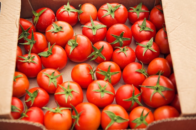 Foto gratuita pomodori freschi rossi raccolti in una scatola di cartone per la vendita.