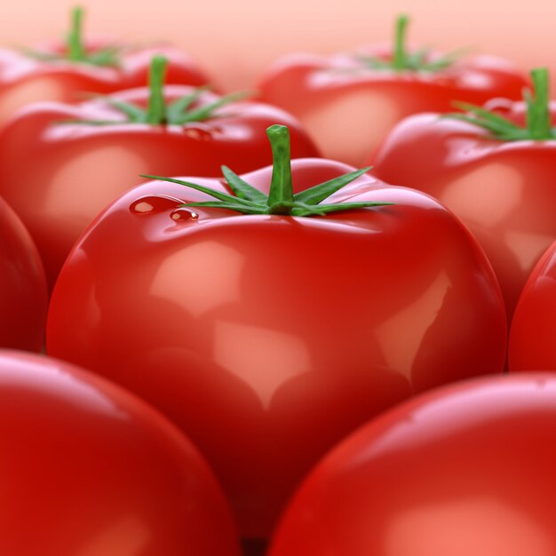 красные глянцевые помидоры