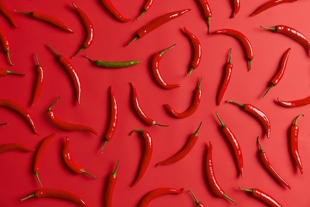 Red and green hot mexican chili pepper pattern. hot fresh vegetables for seasoning and preparing spicy dishes. agriculture and fresh food. composition of piquant savoury ingredients for meal