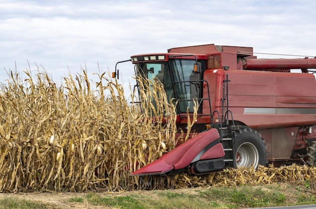 Red harvesting machine on a corn farm