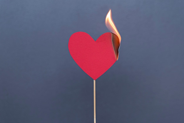 Free photo red heart burning on stick