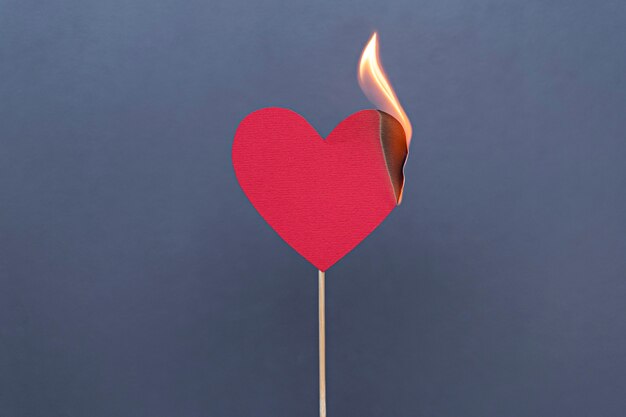 Red heart burning on stick