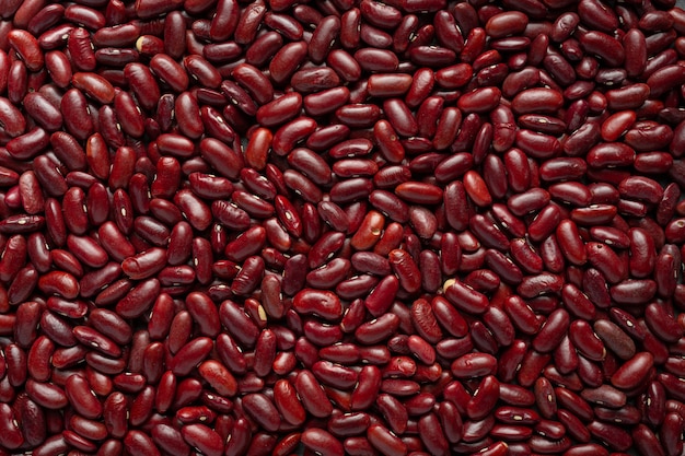 赤インゲン豆の背景