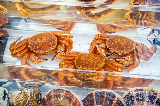 アラスカキングクラブカニ蒸しまたはゆで海鮮煮 プレミアム写真 アラスカキングクラブカニ蒸しまたはゆで海鮮煮 プレミアム写真