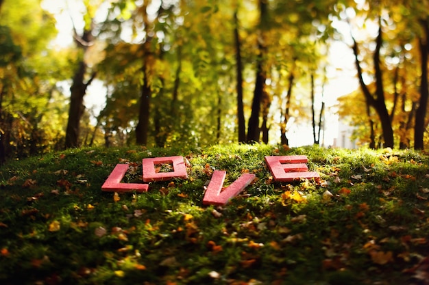 Red letters 'Love' lies on grass in forest