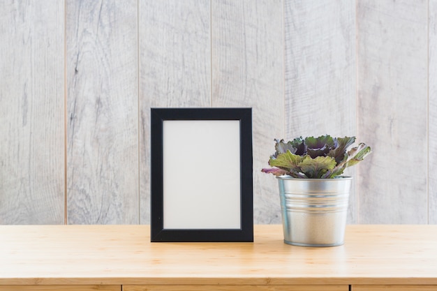 Red oak leaf lettuce in pot with an empty picture frame on table