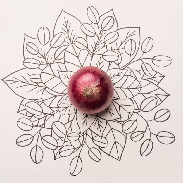 Red onion over outline floral background