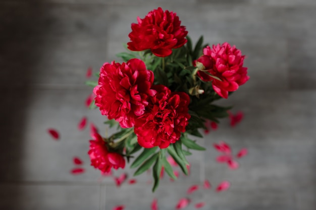 Free photo red peonies bouquet isolated on gray background.