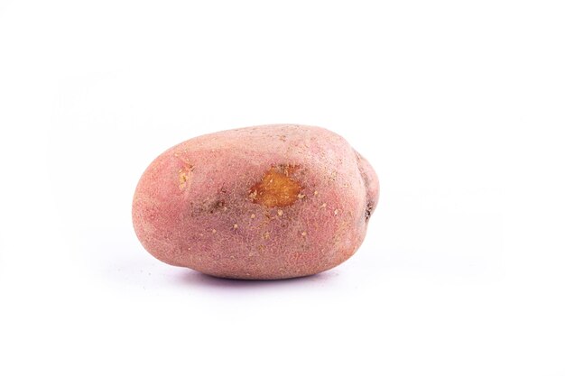 Free photo red potatoes on white background