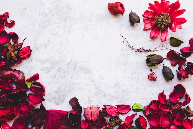 A red potpourri composition against white textured background