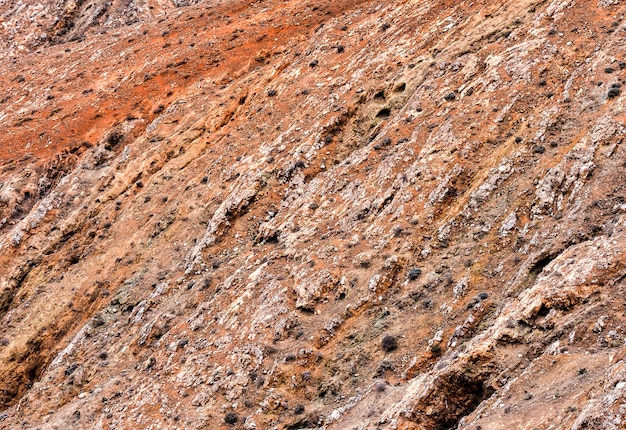 茂みの多い赤い岩の表面-クールな背景に最適