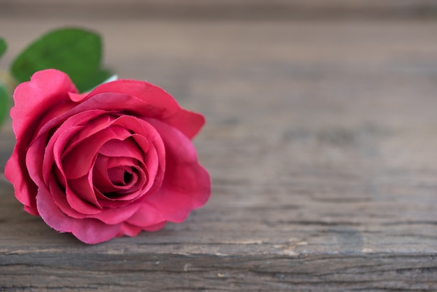 Free photo red rose closeup