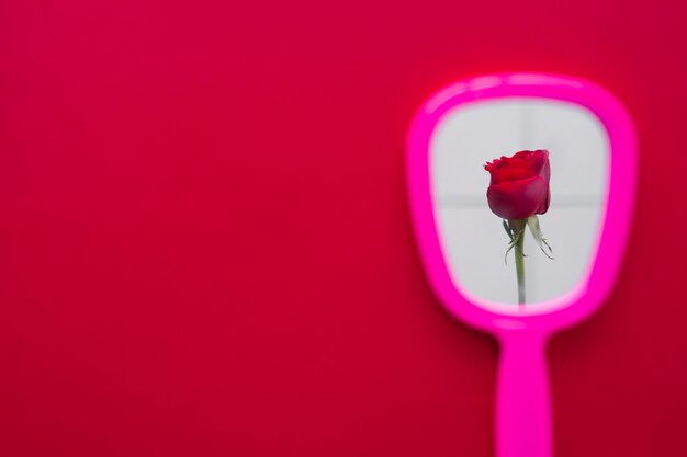 테이블에 거울 반사에 빨간 장미 꽃