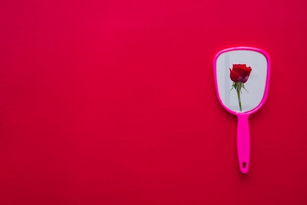 Red rose flower in mirror reflection 