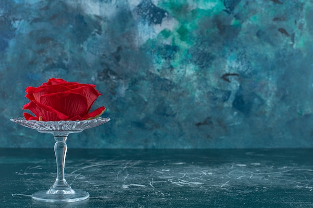 Free photo red rose in a glass pedestal , on the blue background.