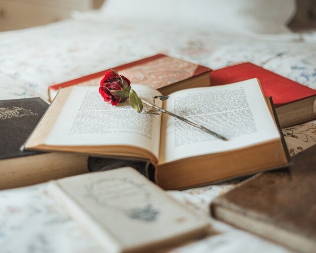 Red rose inside an open book