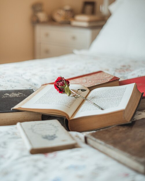 Red rose inside an open book