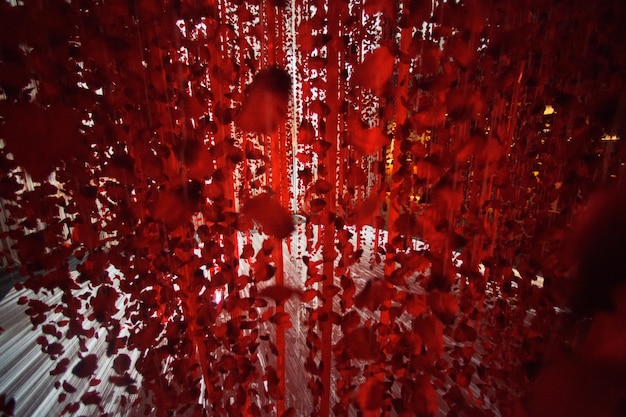 Red rose petals and ribbons hang over white floor