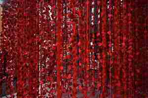 Free photo red rose petals on the thread