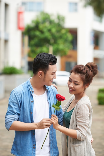 Free photo red rose for romantic date