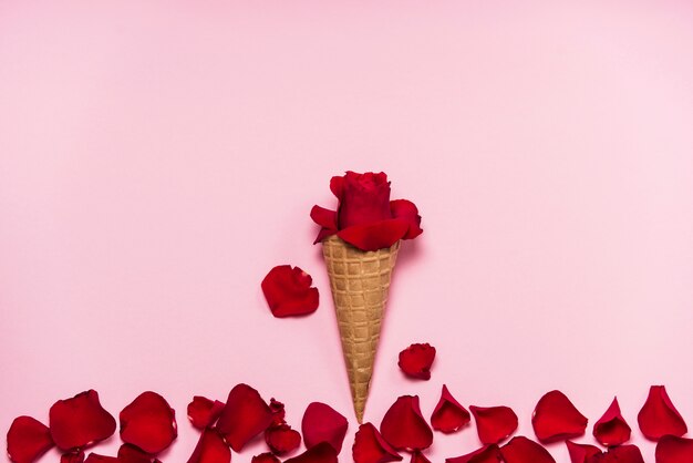 Red rose in waffle cone on pink table