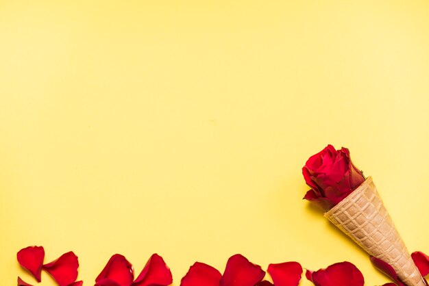 Red rose in waffle cone on yellow table