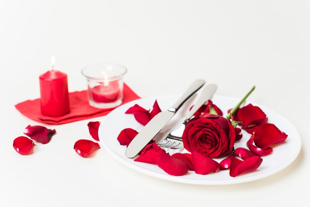 접시에 칼과 빨간 장미