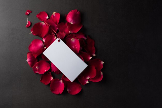 白空白の白いカードと赤いバラ