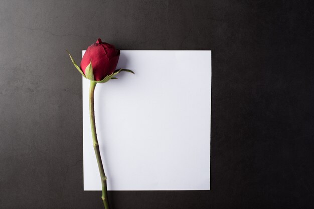 Red Rose with white card