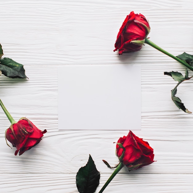 Red roses around paper