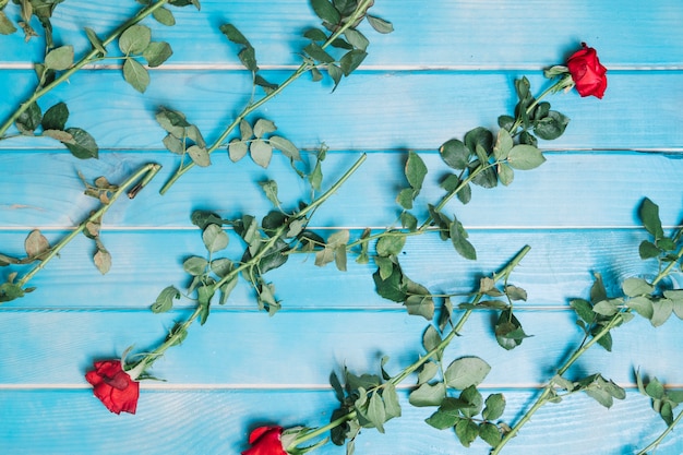 Red roses on blue tabletop