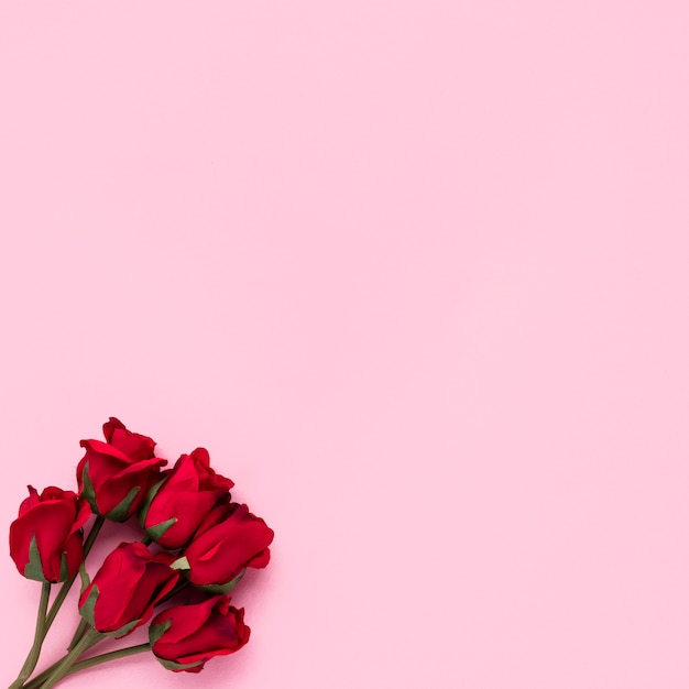 Red roses branches on pink table