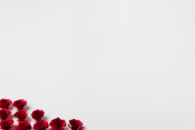 Red roses buds on light table