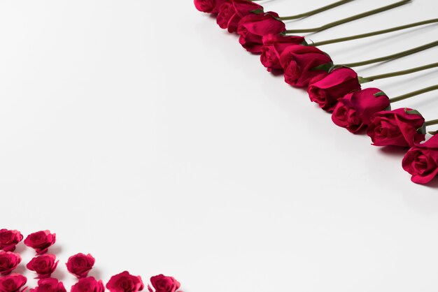 Red roses buds on white table