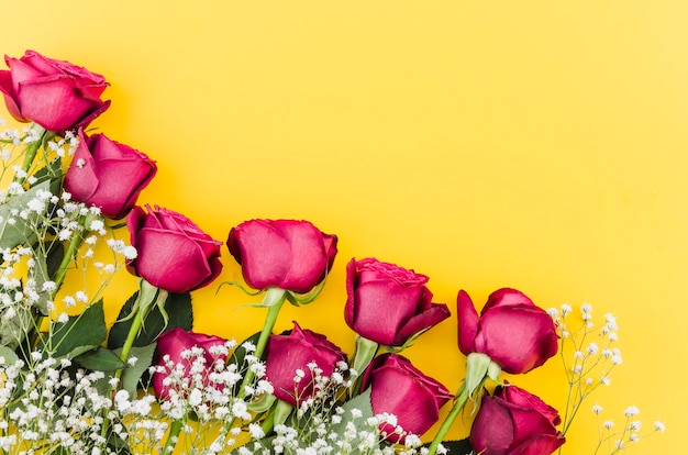 Red roses flowers